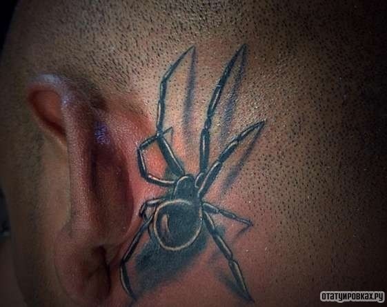 Фотография татуировки под названием «Паук с тенью и длинными лапами»