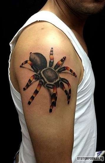 Фотография татуировки под названием «Красивый паук»
