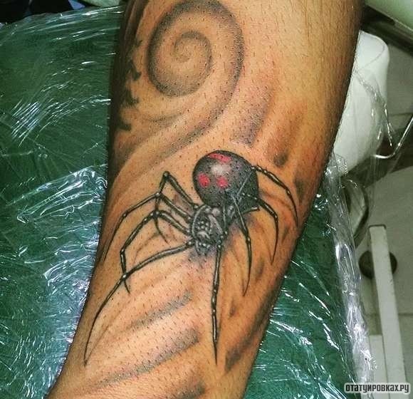Фотография татуировки под названием «Паук с тонкими лапами»