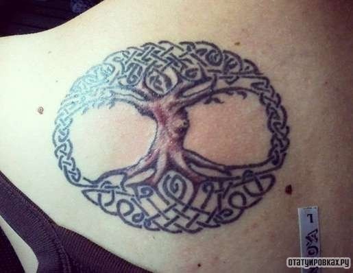 Фотография татуировки под названием «Дерево с узорами»