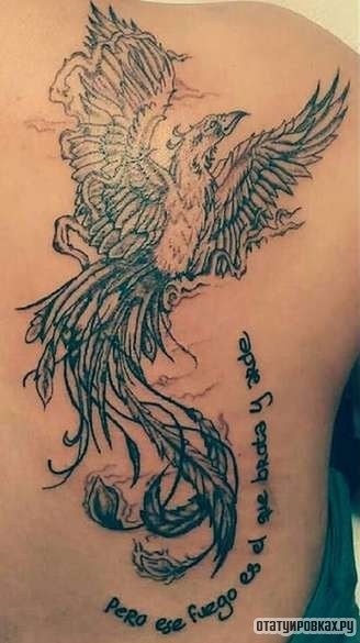 Фотография татуировки под названием «Феникс с надписью»