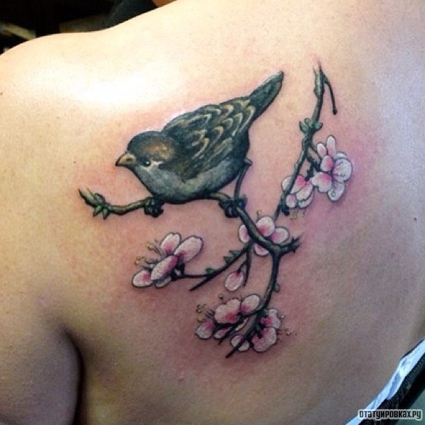 Фотография татуировки под названием «Воробей на ветке сакуры»