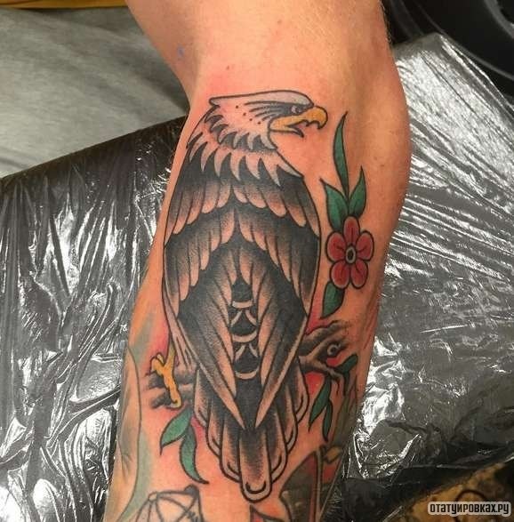 Фотография татуировки под названием «Орел с цветами на ветке»