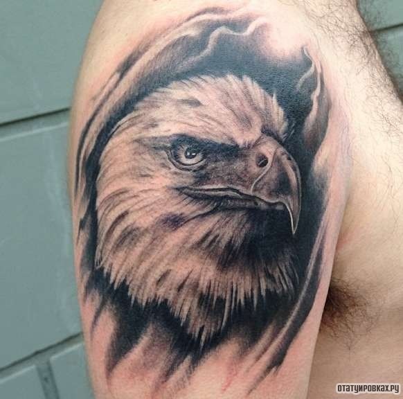 Фотография татуировки под названием «Орел чб»
