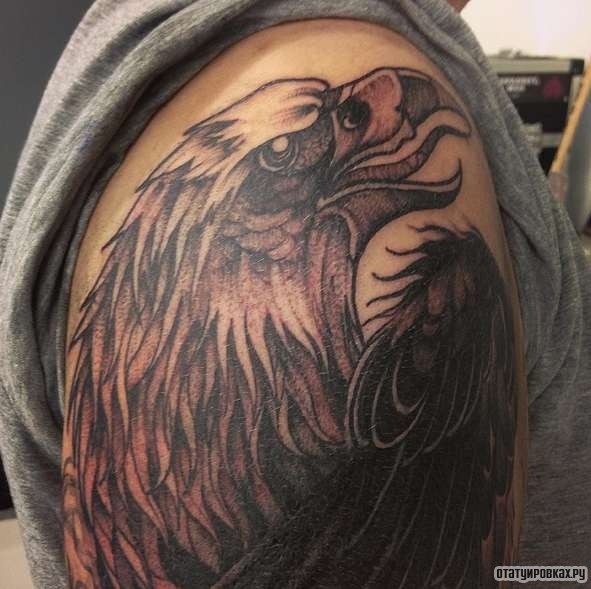 Фотография татуировки под названием «Орел с языком»