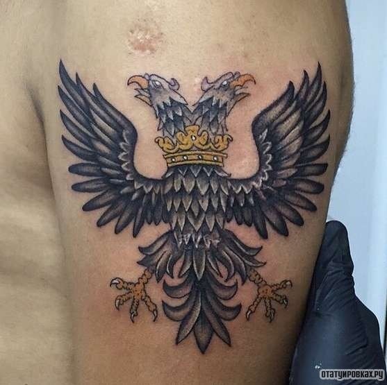 Фотография татуировки под названием «Орел с двумя головами»