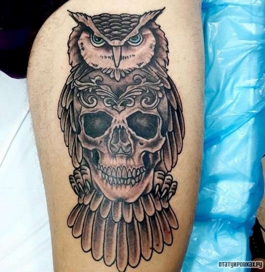 Фотография татуировки под названием «Череп - сова»