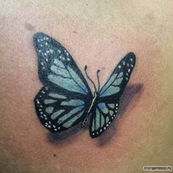 Фотография татуировки под названием «Бабочка и тени»