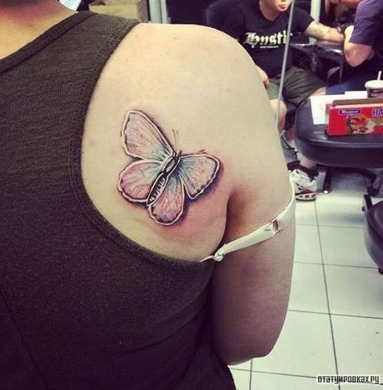 Фотография татуировки под названием «Бабочка в белом цвете»