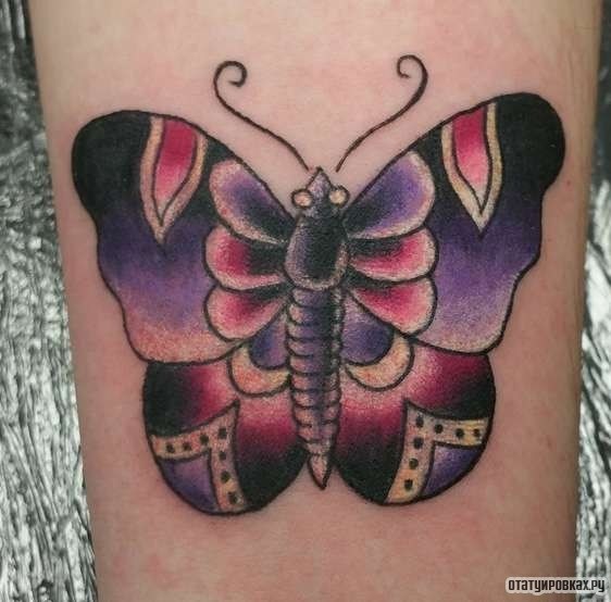 Фотография татуировки под названием «Бабочка в узорах»