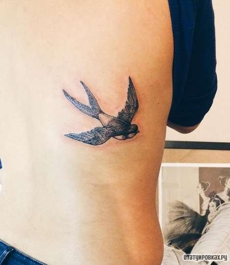 Фотография татуировки под названием «Ласточка чб летит»