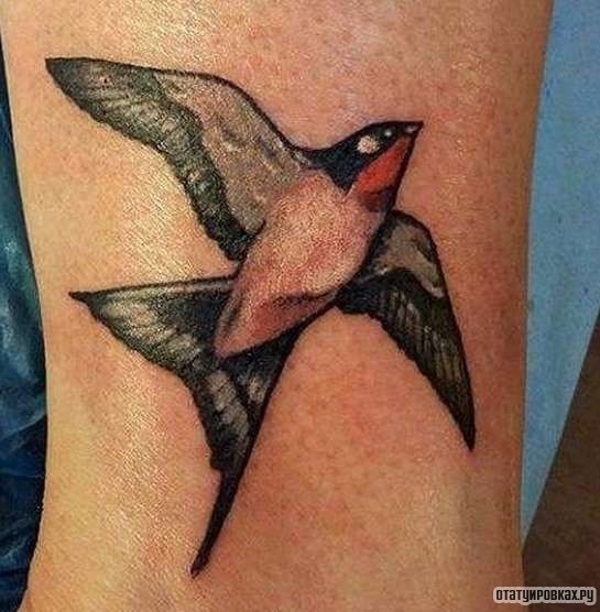 Фотография татуировки под названием «Ласточка взлетает»
