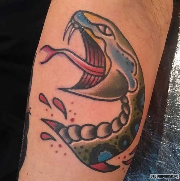 Фотография татуировки под названием «Змея с жалом и брызгами»