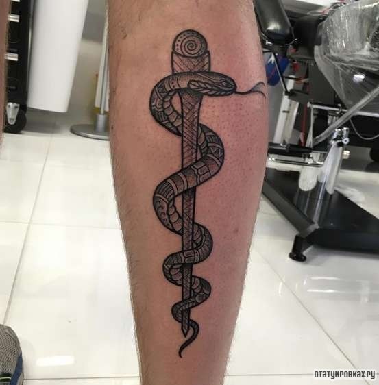 Фотография татуировки под названием «Змея обвивает кинжал»