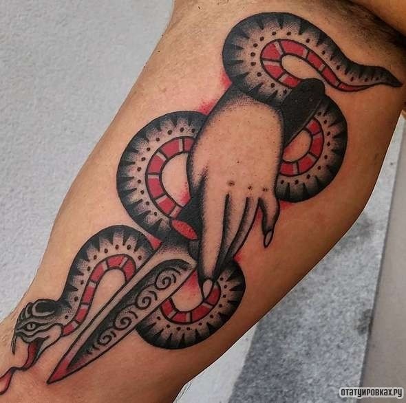Фотография татуировки под названием «Кинжал, змея и рука»