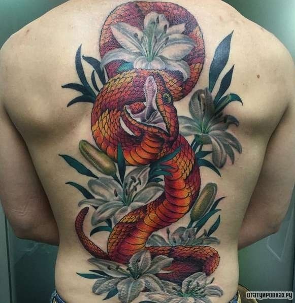 Фотография татуировки под названием «Змея в лилиях»