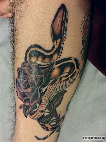 Фотография татуировки под названием «Змея обвивает розу»
