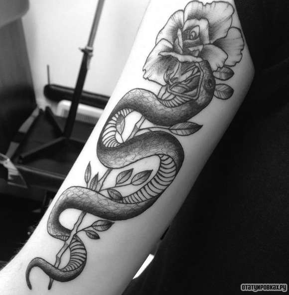Фотография татуировки под названием «Змея с пионом»