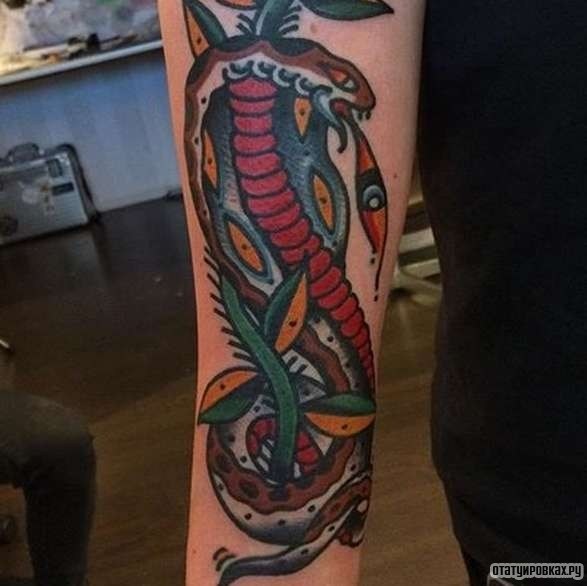 Фотография татуировки под названием «Змея и растение»