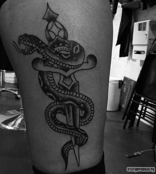 Фотография татуировки под названием «Змея и кинжал»
