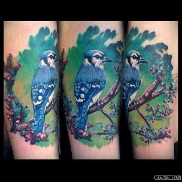 Фотография татуировки под названием «Птица на ветке дерева»