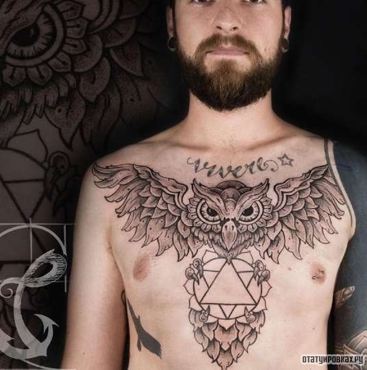 Фотография татуировки под названием «Сова со звездой»