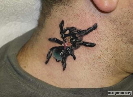 Фотография татуировки под названием «Красно-синий паук»