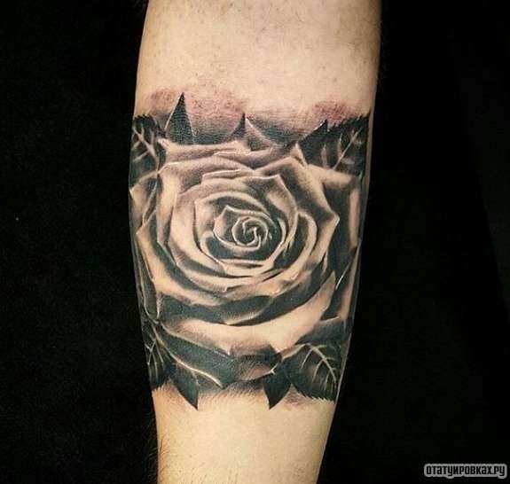 Фотография татуировки под названием «Большая роза»