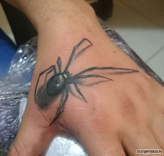 Фотография татуировки под названием «Большой паук»