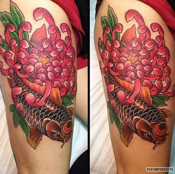 Фотография татуировки под названием «Карп с хризантемой»