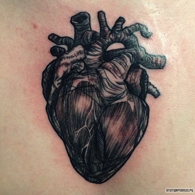 Фотография татуировки под названием «Человеческое сердце с артериями»