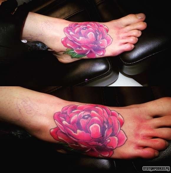 Фотография татуировки под названием «Большой розовый пион»