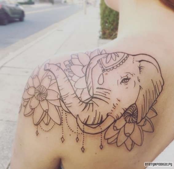 Фотография татуировки под названием «Контур слон с лотосом»
