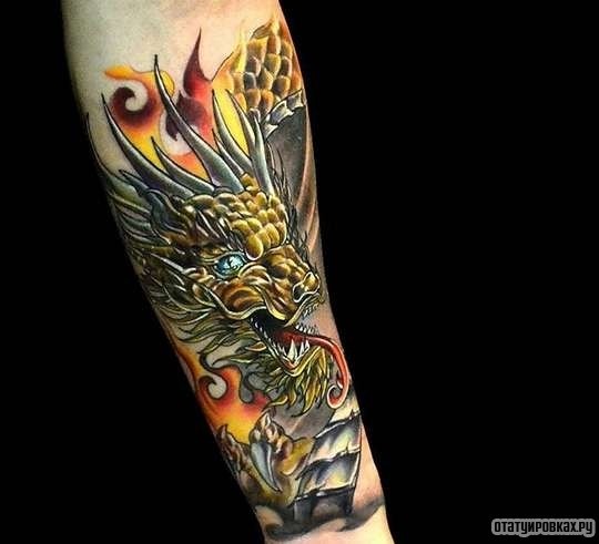 Фотография татуировки под названием «Дракон в ярких тонах»