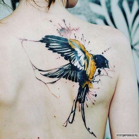 Фотография татуировки под названием «Птичка в кляксах»