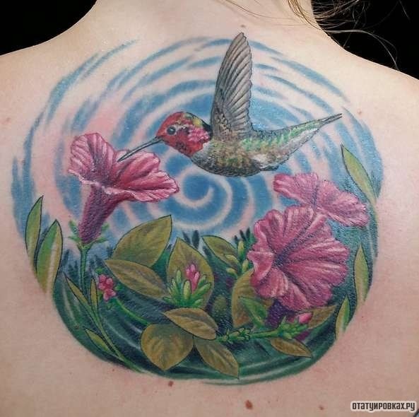 Фотография татуировки под названием «Колибри с цветами»