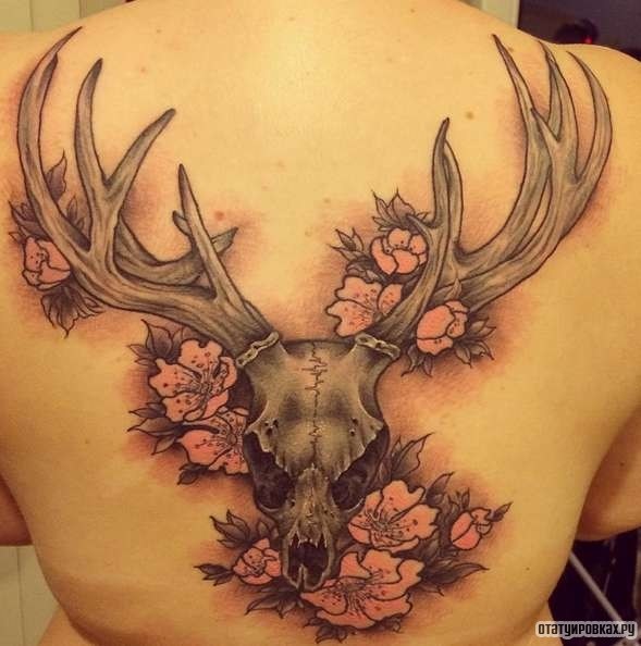 Фотография татуировки под названием «Череп животного в цветах»