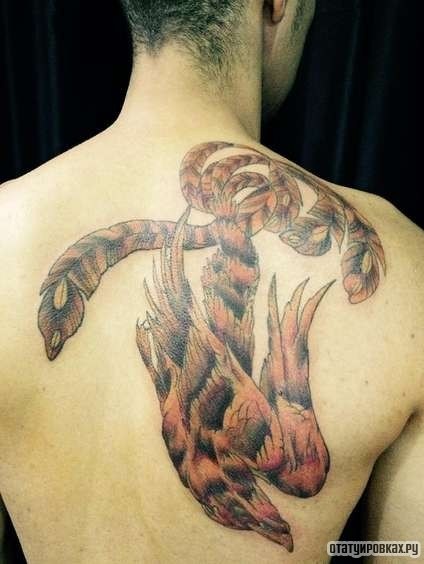 Фотография татуировки под названием «Огненная птица летит вниз»