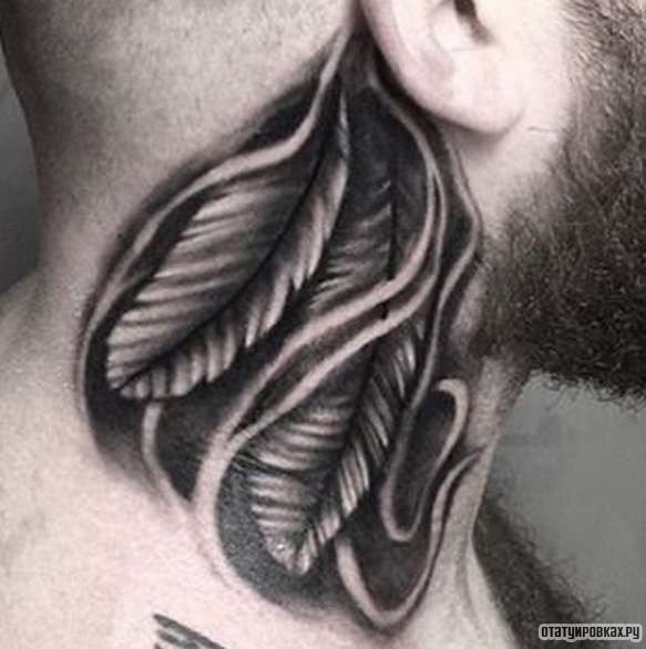 Фотография татуировки под названием «Два черных пера»