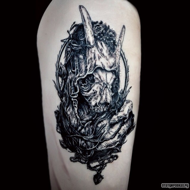 Фотография татуировки под названием «Абстракция черепа животного»