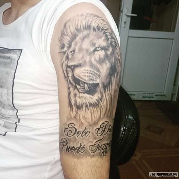 Фотография татуировки под названием «Лев и надпись»