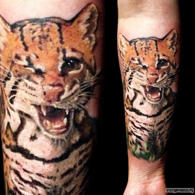 Фотография татуировки под названием «Маленький тигренок»