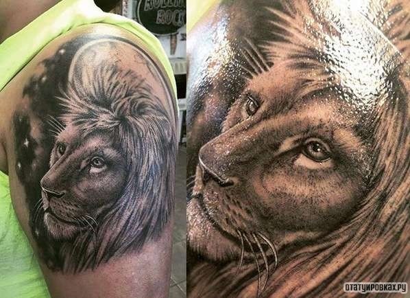 Фотография татуировки под названием «Морда льва»