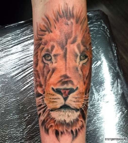 Фотография татуировки под названием «Рыжий лев»