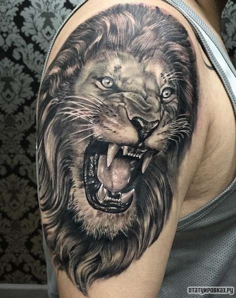 Фотография татуировки под названием «Оскал льва»