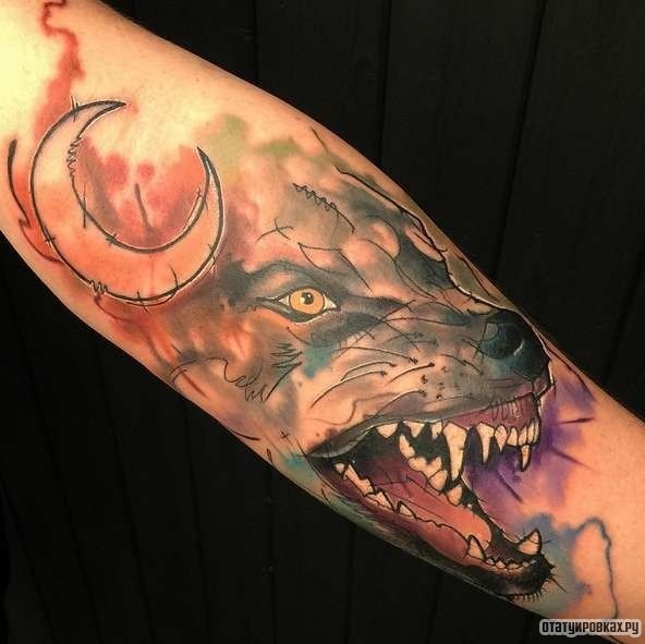 Фотография татуировки под названием «Волк с луной»