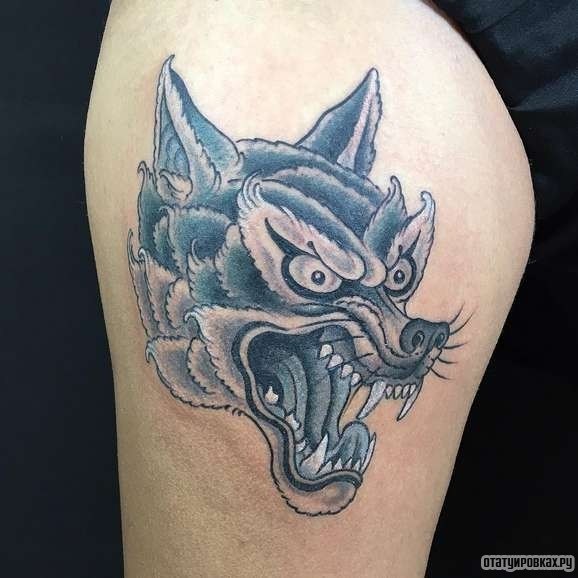 Фотография татуировки под названием «Волк с оскалом»