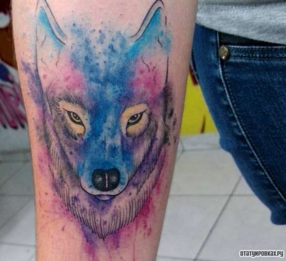 Фотография татуировки под названием «Волк в ярких красках»
