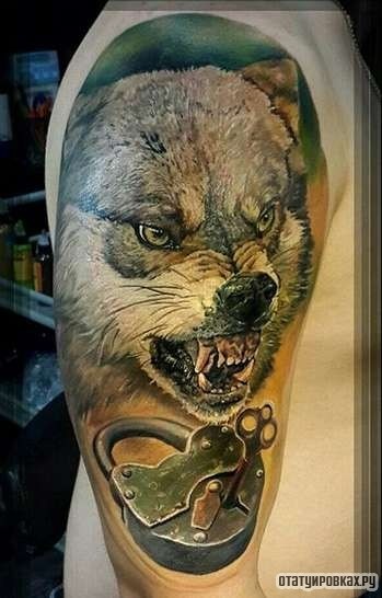 Фотография татуировки под названием «Оскал волка с замком»