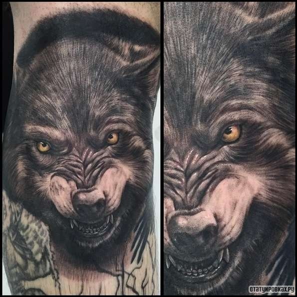 Фотография татуировки под названием «Оскал волка чб»
